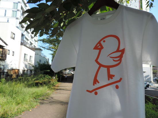 killybird orange.JPG